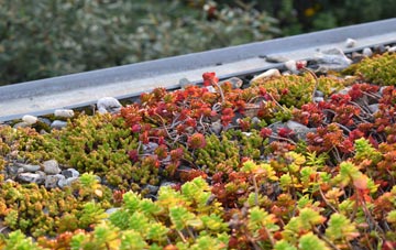 the cost of Llanbedr Y Cennin green roof installation