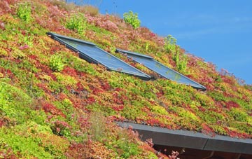Llanbedr Y Cennin living roof systems
